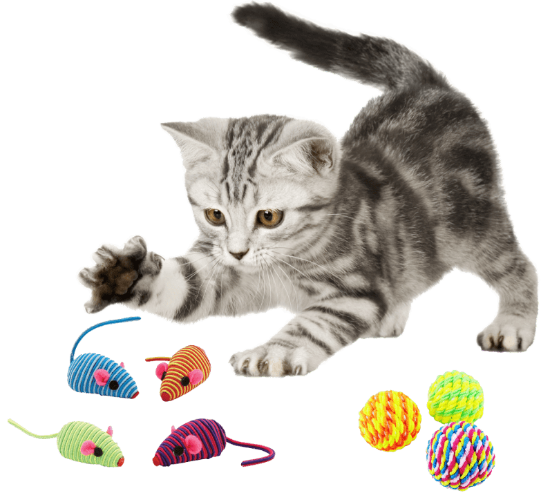 rev_home1_img02.png