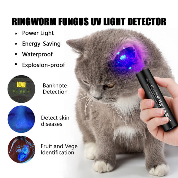 Professional UV Ringworm Detector